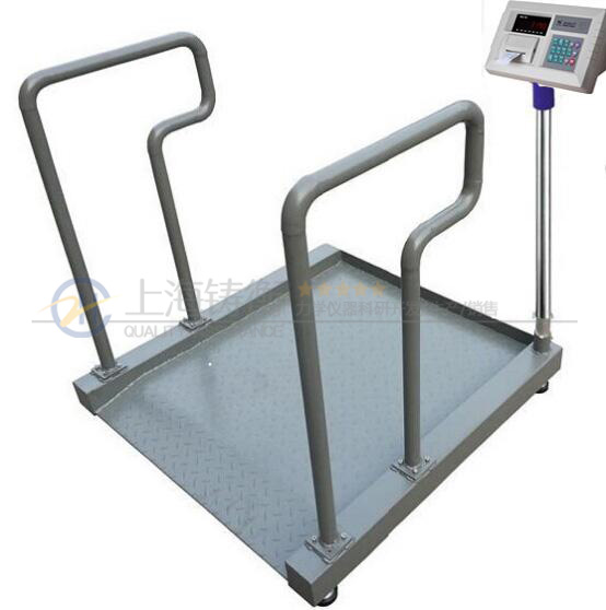 �t��݆�γ�